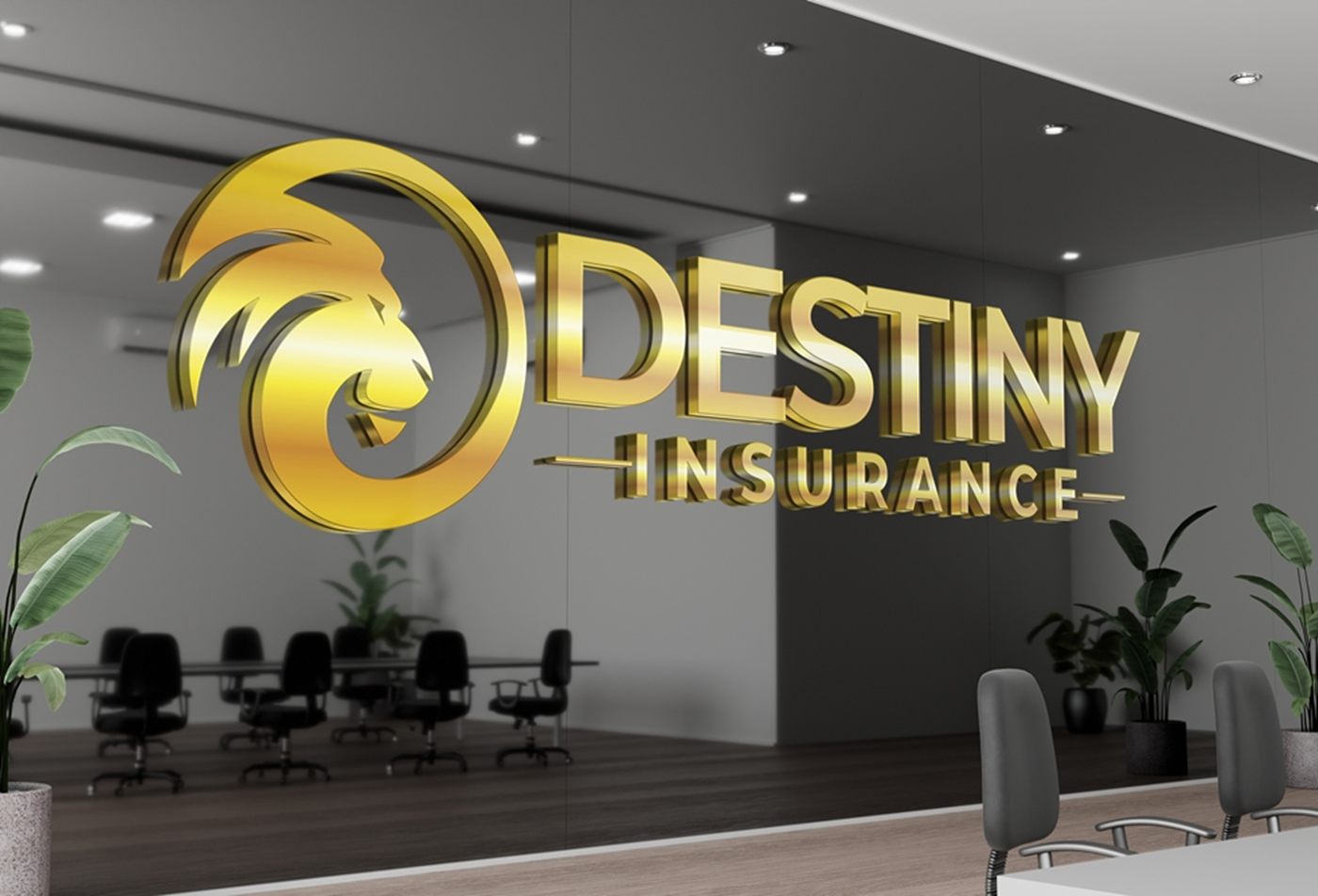 Destiny Insure 1